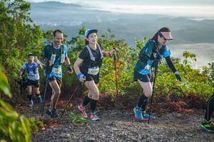 BIB: 2520, 
                            <button type="button" onclick="openModal(21875730)" class="btn btn-primary btn-sm float-right btn-popup" data-toggle="modal" data-target=".modal-high-quality">
                        <i class="fas fa-shopping-cart"></i> Add to Cart
                    </button>
                                            <button type="button" onclick="isThisMe(21875730, true)" class="btn btn-success btn-sm float-right btn-popup btn-isme hidden" data-toggle="tooltip" data-placement="bottom" title="นี่คือรูปของคุณใช่ไหม คลิกที่นี่เพื่อเอาเข้าอัลบั้ม">
                        <i class="fas fa-plus"></i> Add to album
                    </button>
                    <button type="button" onclick="isThisMe(21875730, false)" class="btn btn-warning btn-sm float-right btn-popup btn-isnotme hidden">
                        <i class="fas fa-ban"></i> Remove from album
                    </button>